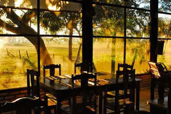 Southwild Pantanal Lodge Poconé Eksteriør billede