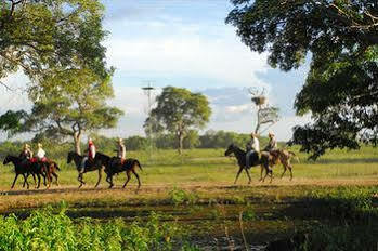 Southwild Pantanal Lodge Poconé Eksteriør billede
